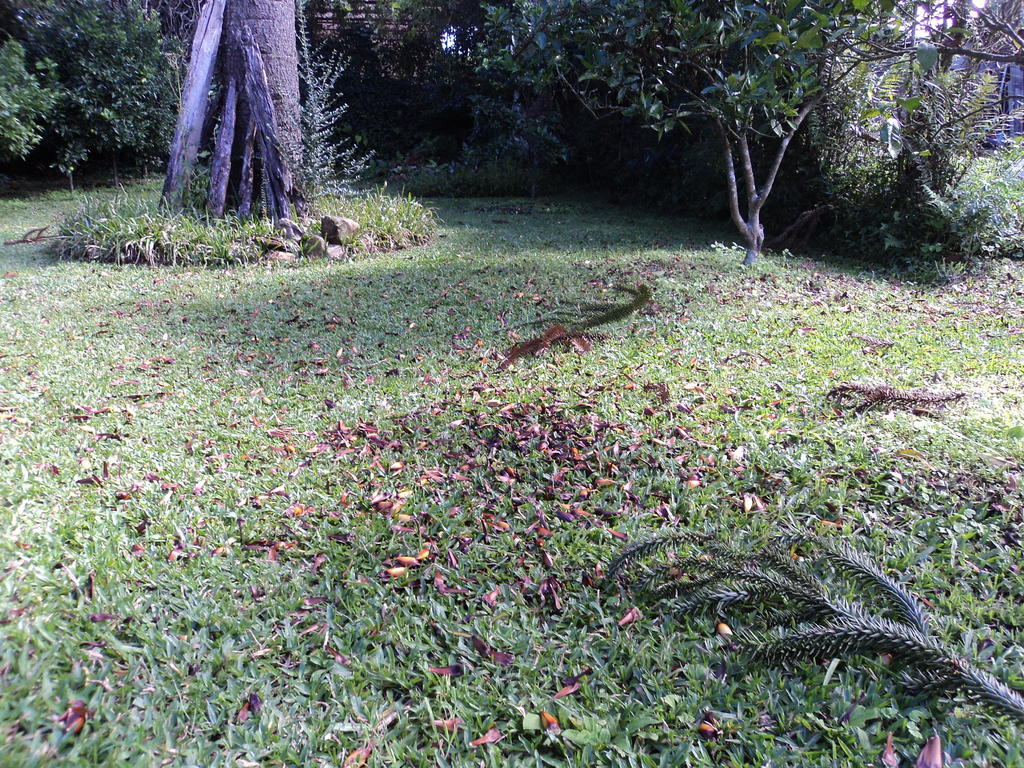 Pousada O Canto Do Sabia Canela Bagian luar foto